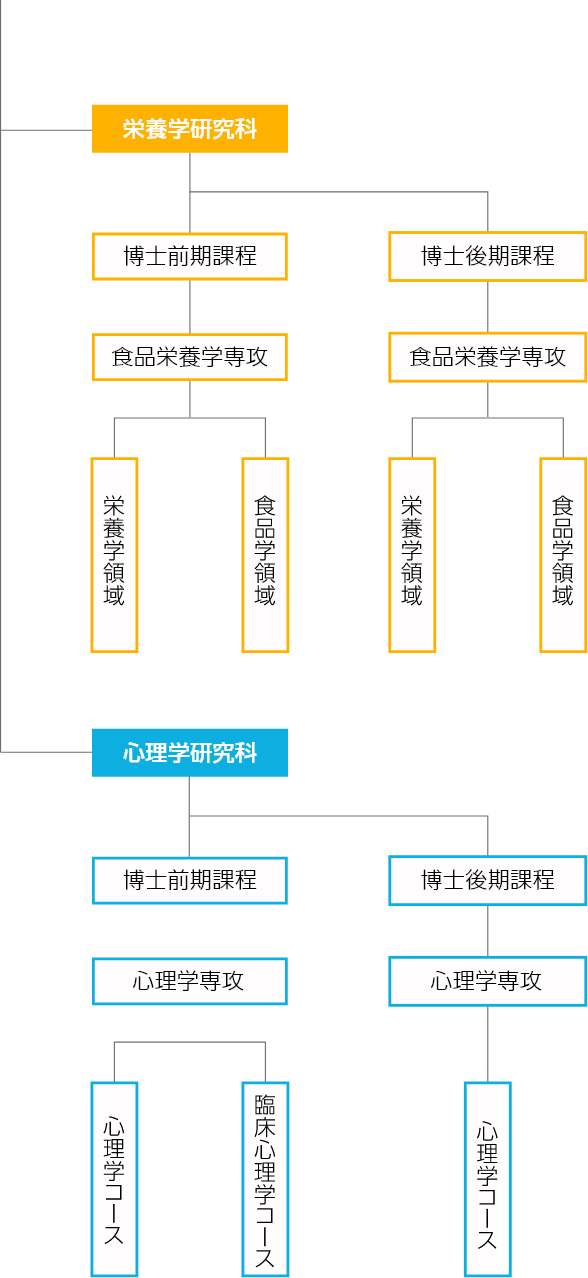 大学院コース図